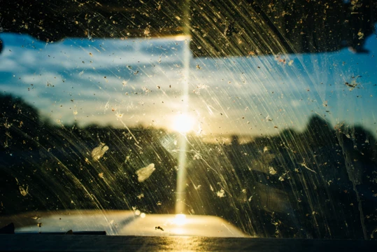 dirty window with the sun gleaming through