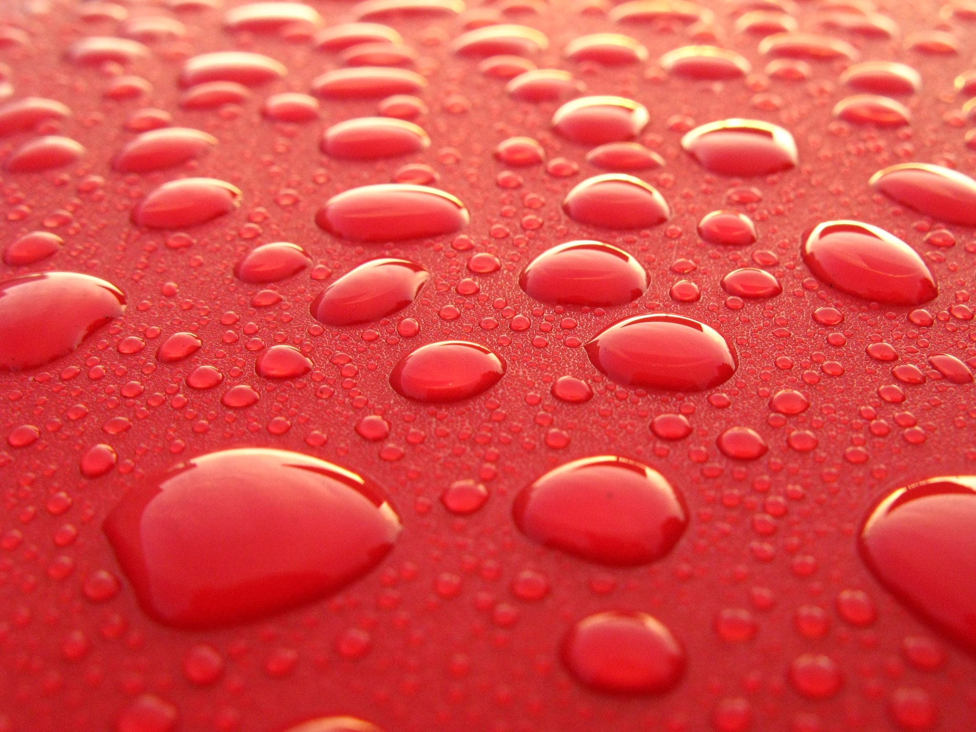 water droplets on red hud of car